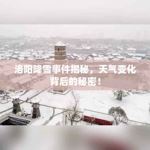 洛阳降雪事件揭秘,天气变化背后的秘密!