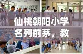 仙桃朝阳小学名列前茅,教育卓越成就与孩子们的辉煌篇章