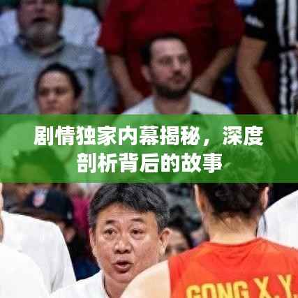 剧情独家内幕揭秘,深度剖析背后的故事