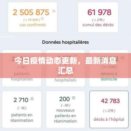 今日疫情动态更新,最新消息汇总