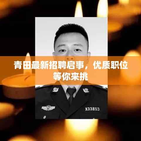 青田最新招聘启事，优质职位等你来挑