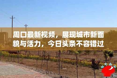 周口最新视频,展现城市新面貌与活力,今日头条不容错过