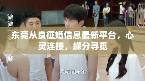 东莞从良征婚信息最新平台,心灵连接,缘分寻觅