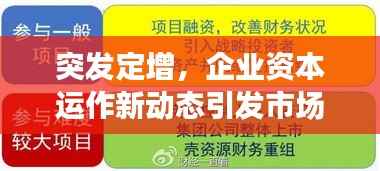 突发定增,企业资本运作新动态引发市场热议与反应