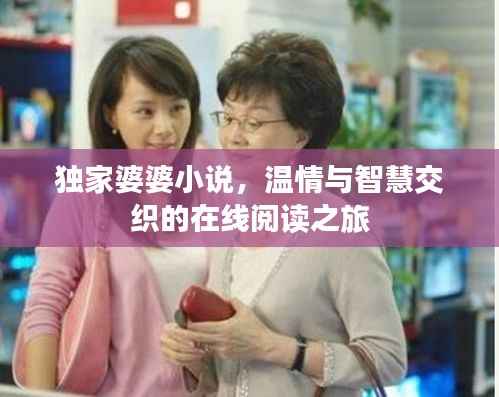 独家婆婆小说,温情与智慧交织的在线阅读之旅
