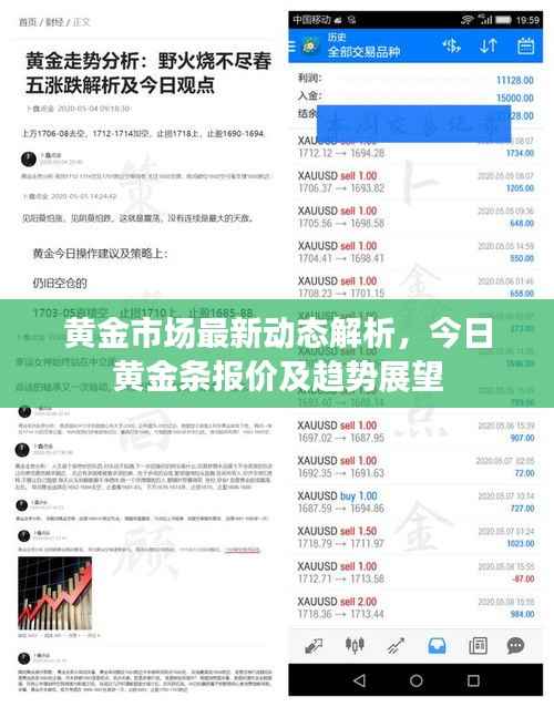 黄金市场最新动态解析，今日黄金条报价及趋势展望