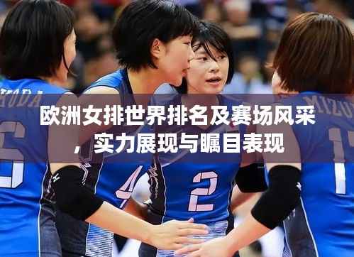 欧洲女排世界排名及赛场风采,实力展现与瞩目表现