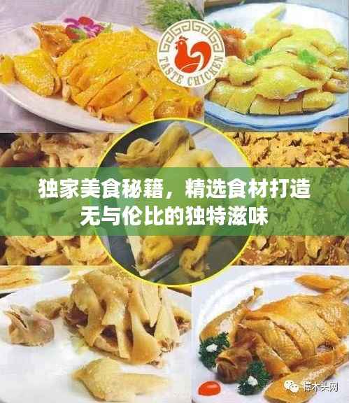 独家美食秘籍,精选食材打造无与伦比的独特滋味