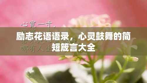 励志花语语录,心灵鼓舞的简短箴言大全