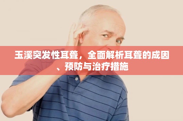 玉溪突发性耳聋,全面解析耳聋的成因、预防与治疗措施