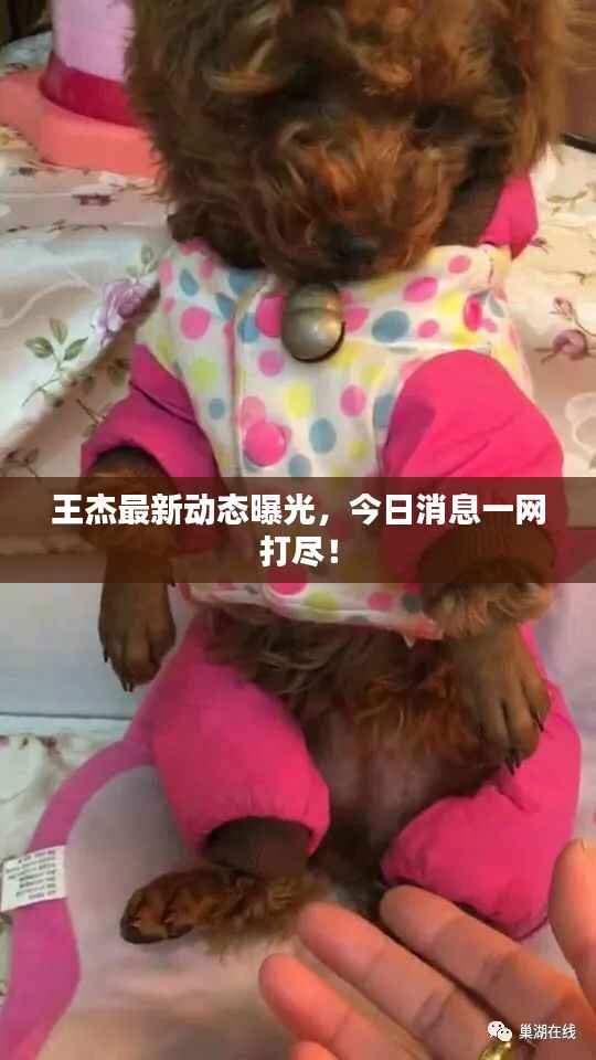 王杰最新动态曝光,今日消息一网打尽!