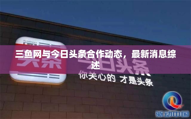 三鱼网与今日头条合作动态,最新消息综述
