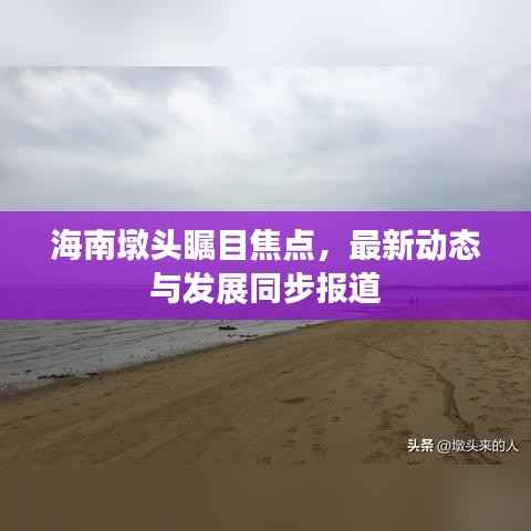 海南墩头瞩目焦点,最新动态与发展同步报道