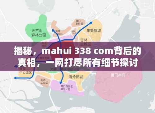 揭秘,mahui 338 com背后的真相,一网打尽所有细节探讨