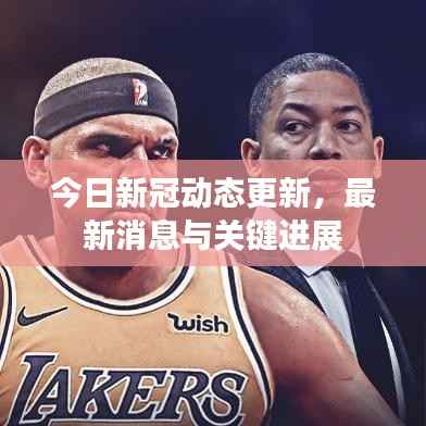 今日新冠动态更新,最新消息与关键进展