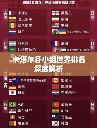 卡塔尔各小组世界排名深度解析