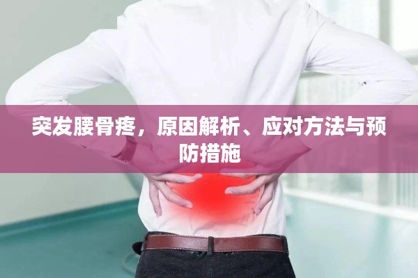 突发腰骨疼,原因解析、应对方法与预防措施
