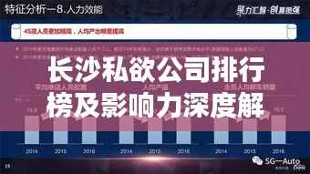 长沙私欲公司排行榜及影响力深度解析