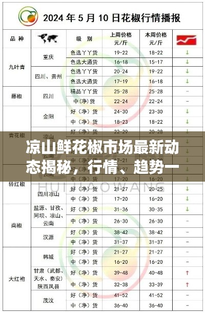 凉山鲜花椒市场最新动态揭秘,行情、趋势一网打尽!