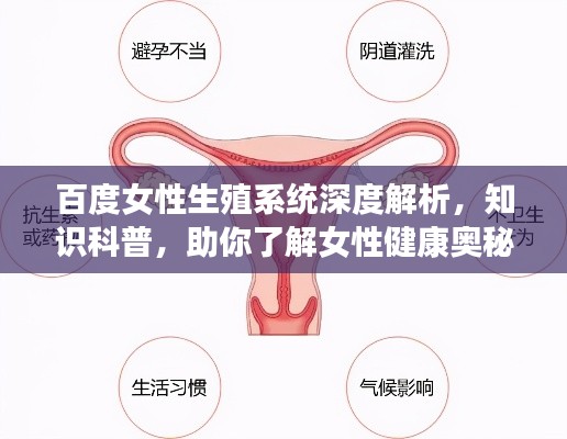 百度女性生殖系统深度解析,知识科普,助你了解女性健康奥秘