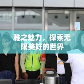 雅之魅力，探索无限美好的世界