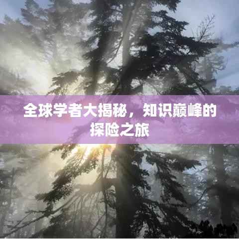 全球学者大揭秘,知识巅峰的探险之旅