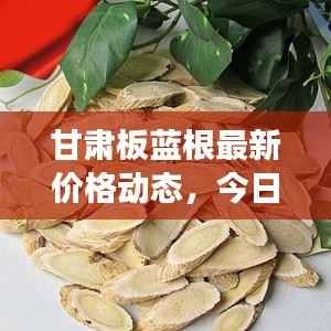 甘肃板蓝根最新价格动态,今日市场分析及趋势预测