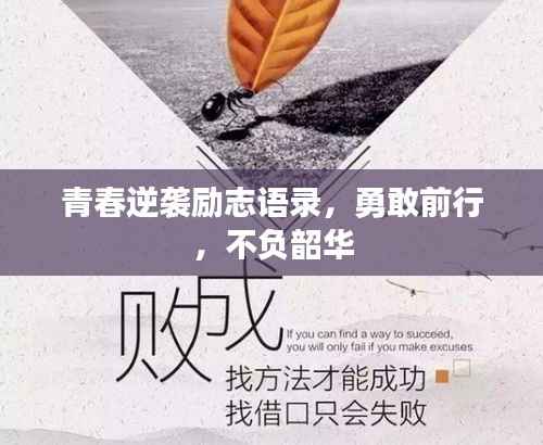 青春逆袭励志语录,勇敢前行,不负韶华