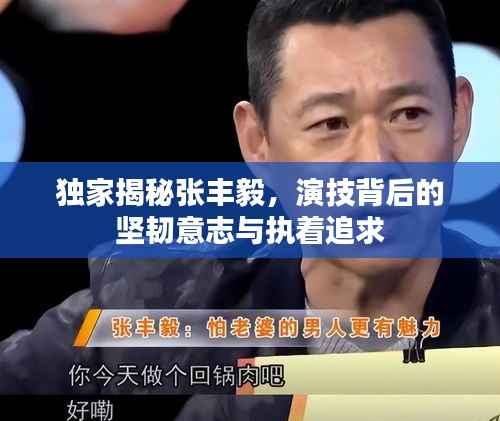 独家揭秘张丰毅,演技背后的坚韧意志与执着追求