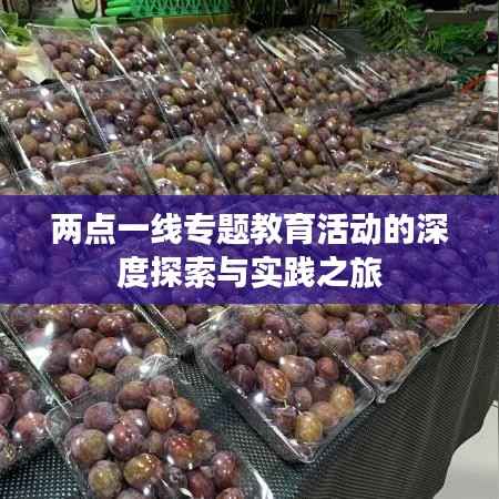 两点一线专题教育活动的深度探索与实践之旅