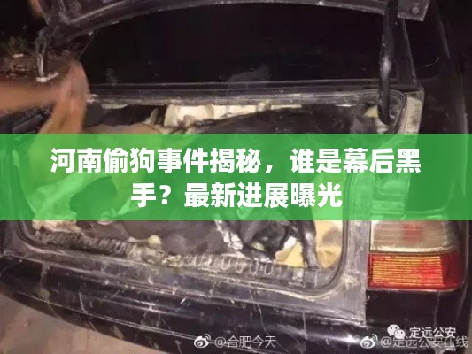 河南偷狗事件揭秘,谁是幕后黑手?最新进展曝光
