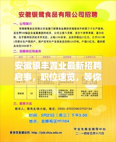 安徽银丰置业最新招聘启事,职位速览,等你来挑战!
