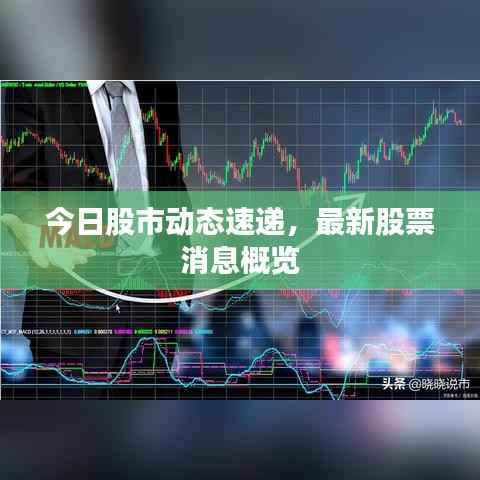 今日股市动态速递,最新股票消息概览