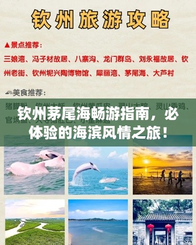 钦州茅尾海畅游指南,必体验的海滨风情之旅!