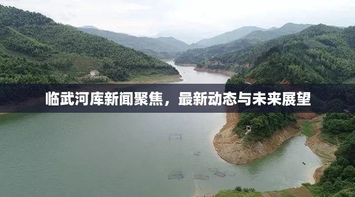 临武河库新闻聚焦,最新动态与未来展望