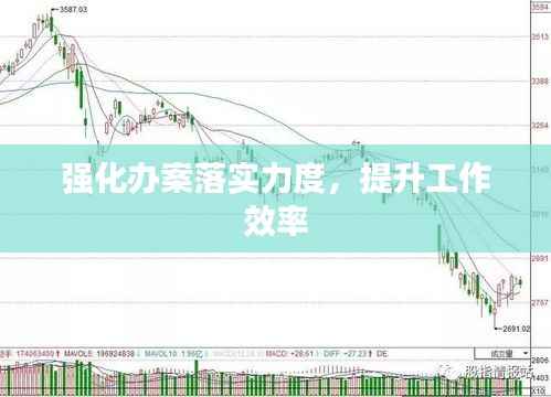强化办案落实力度,提升工作效率